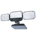 ****Daewoo Outdoor Solar Flood Light