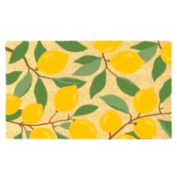 [HHHD-FLMT-01090] Classy Homes PVC-Backed Coir Mat with Bleached Base, 18 x 30 In., 15mm Thick